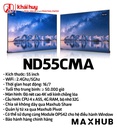 MÀN HÌNH HIỂN THỊ MAXHUB ND55CMA